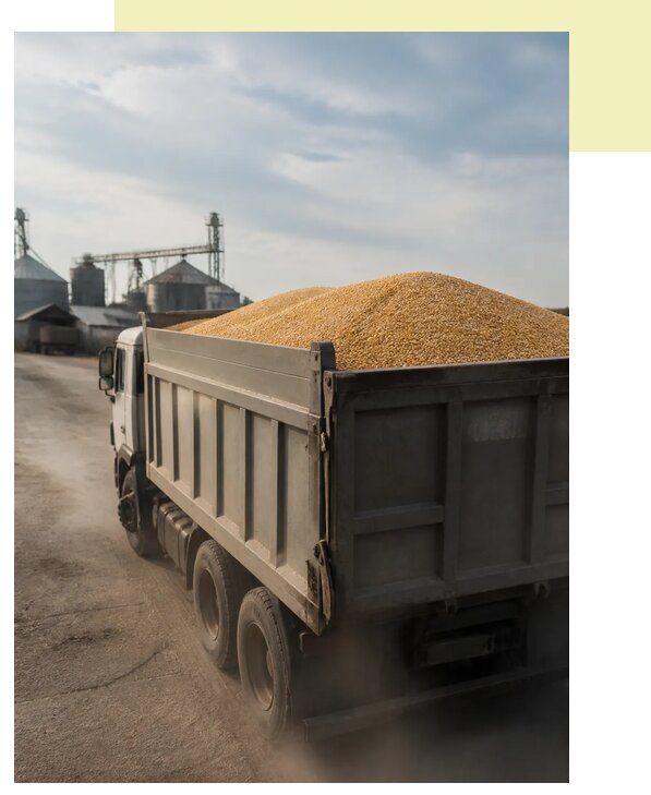 Перевозка сельхозпродукции навалом в Спасск-Дальний по цене от 3104 р. | Агросервис-Спс